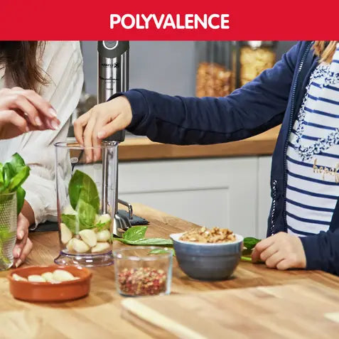 mixeur moulinex dd655810