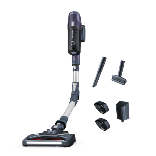 rowenta balai aspirateur 6.60 flex