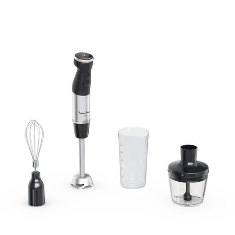 mixeur moulinex dd673810