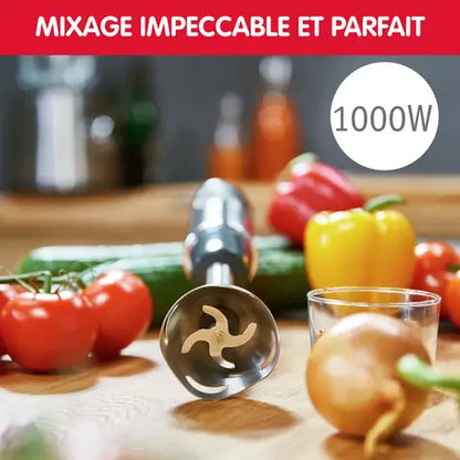mixeur moulinex dd65h810