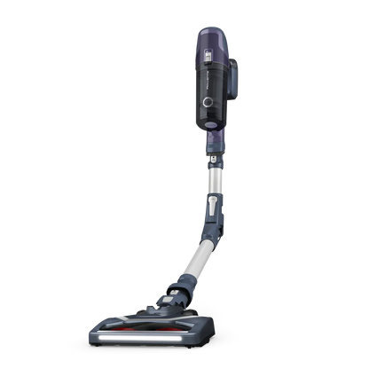rowenta balai aspirateur 6.60 flex
