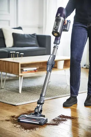 rowenta balai aspirateur 6.60 flex